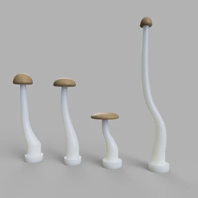 Super Simple Mushroom - Nấm siêu đơn giản