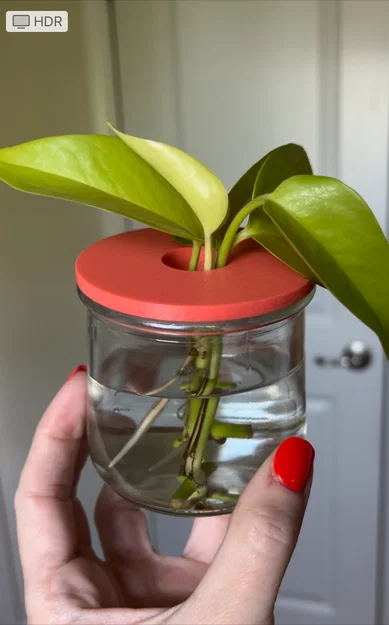 Nắp ươm cành giâm cho hũ Oui (Oui Jar Plant Propagation Lid) - Image 1