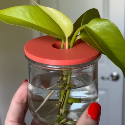 Nắp ươm cành giâm cho hũ Oui (Oui Jar Plant Propagation Lid)