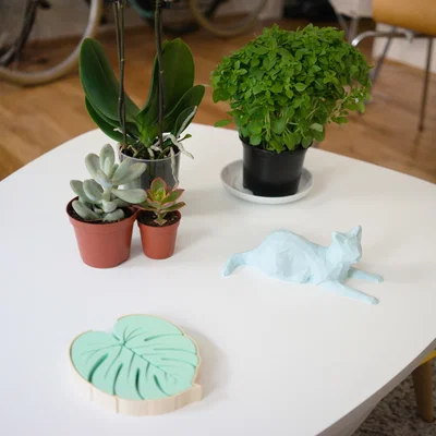 Bộ Đế Lót Ly Hình Lá (Leaf Coasters) - Phụ Kiện Decor 3D Độc Đáo