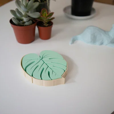 Bộ Đế Lót Ly Hình Lá (Leaf Coasters) - Phụ Kiện Decor 3D Độc Đáo