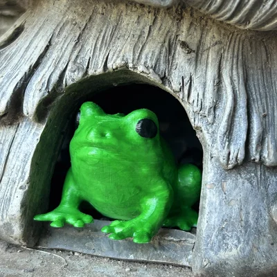 Froggy Friend – Bé Ếch Dễ Thương Trang Trí