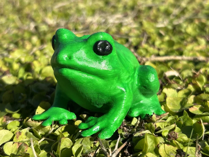 Froggy Friend – Bé Ếch Dễ Thương Trang Trí - Image 2