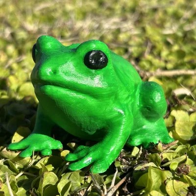 Froggy Friend – Bé Ếch Dễ Thương Trang Trí
