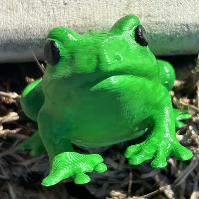 Froggy Friend – Bé Ếch Dễ Thương Trang Trí