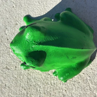 Froggy Friend – Bé Ếch Dễ Thương Trang Trí