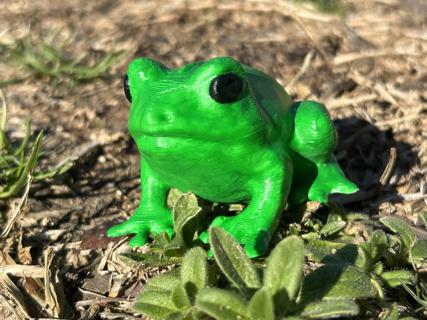 Froggy Friend – Bé Ếch Dễ Thương Trang Trí - Image 5