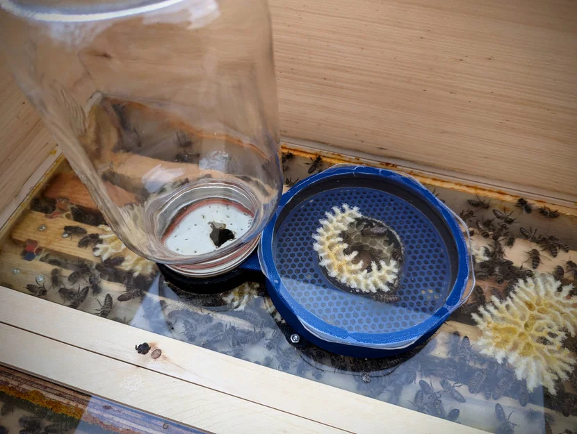 Foulds Feeder 1000 (Bộ cho ong ăn mason jar đặt trong thùng) - Image 2