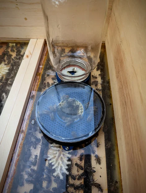 Foulds Feeder 1000 (Bộ cho ong ăn mason jar đặt trong thùng) - Image 3