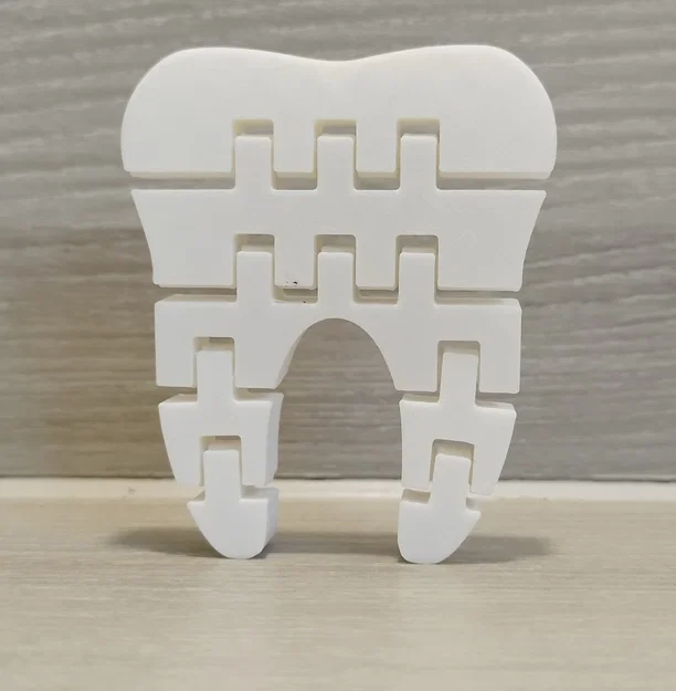 Mô hình răng 3D linh hoạt (Flexi Tooth) - Đồ chơi in 3D giải trí - Image 1