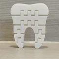 Mô hình răng 3D linh hoạt (Flexi Tooth) - Đồ chơi in 3D giải trí - Thumbnail 1
