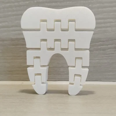Mô hình răng 3D linh hoạt (Flexi Tooth) - Đồ chơi in 3D giải trí