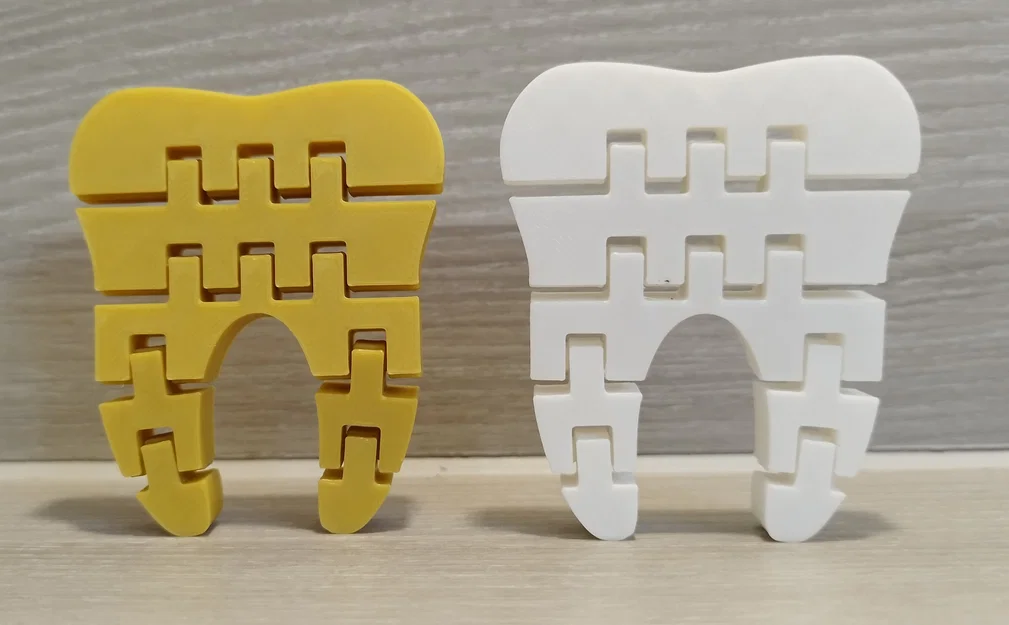 Mô hình răng 3D linh hoạt (Flexi Tooth) - Đồ chơi in 3D giải trí - Image 2