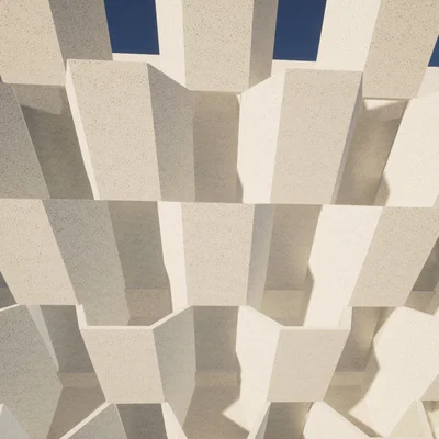 Chậu Cây Treo Tường Lục Giác (Hexagon Wall Plant)