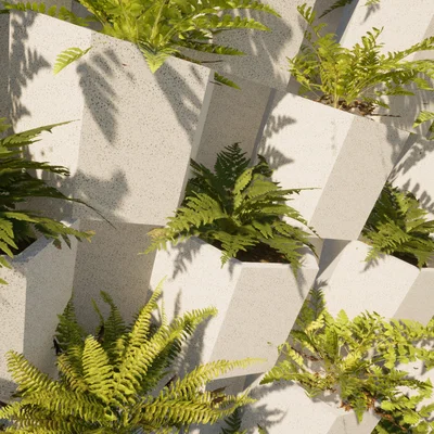 Chậu Cây Treo Tường Lục Giác (Hexagon Wall Plant)