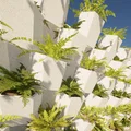 Chậu Cây Treo Tường Lục Giác (Hexagon Wall Plant) - Thumbnail 6