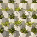 Chậu Cây Treo Tường Lục Giác (Hexagon Wall Plant) - Thumbnail 8