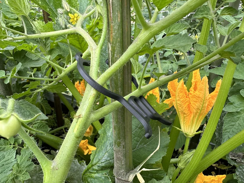 Kẹp cây cỡ đại (Supersized plant clip) - Image 2