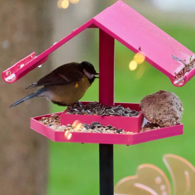 Mô hình máng cho chim ăn - Giải pháp 3D giúp chim vượt qua mùa đông