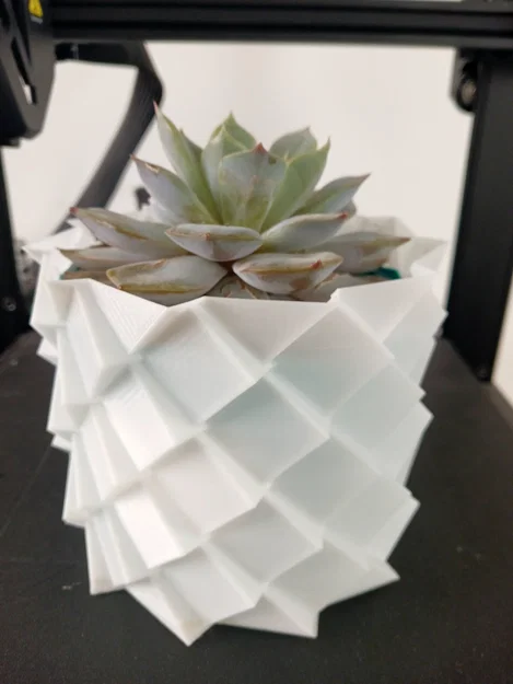 Chậu Trồng Cây: Parametric Planter - Image 2