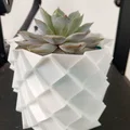 Chậu Trồng Cây: Parametric Planter - Thumbnail 2