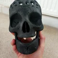 Voronoi skull skull - Thumbnail 2