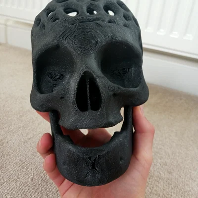 Voronoi skull skull