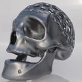 Voronoi skull skull - Thumbnail 3