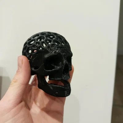 Voronoi skull skull