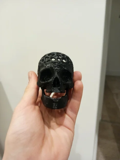 Voronoi skull skull - Image 5