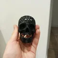 Voronoi skull skull - Thumbnail 5