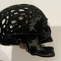 Voronoi skull skull - Thumbnail 6