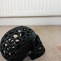 Voronoi skull skull - Thumbnail 7