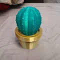 Đèn Xương Rồng (Cactus Lamp) - Thumbnail 1