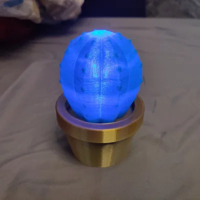 Đèn Xương Rồng (Cactus Lamp)