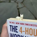 Kẹp sách 3D hình chú mèo - Món quà nhỏ xinh cho người yêu sách - Thumbnail 2