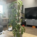 Cột leo rêu thiết kế tháp trung cổ độc đáo cho cây kiểng - Thumbnail 2
