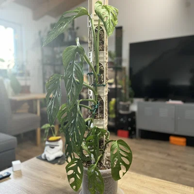 Cột leo rêu thiết kế tháp trung cổ độc đáo cho cây kiểng