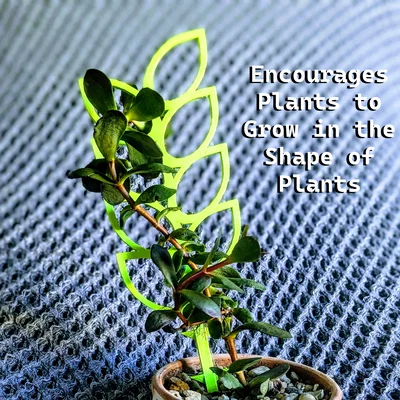 Gối Đỡ Cây - Xếp Chồng Lá (Plant Support - Leaf Stack)