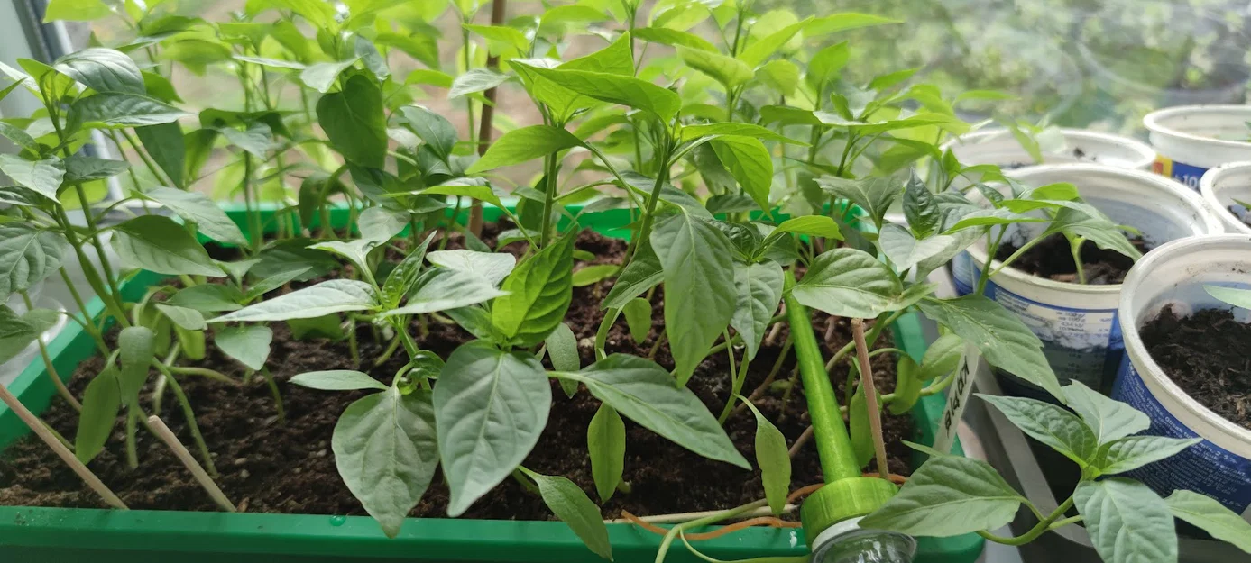Nắp bình tưới cây 3D tiện lợi cho cây cảnh và rau củ tại nhà - Image 3