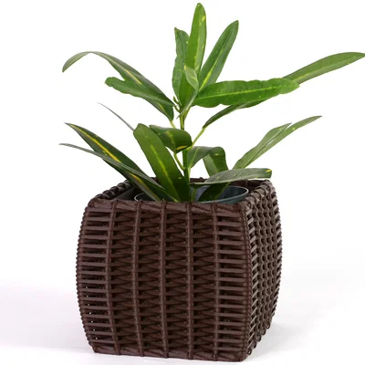 Bộ sưu tập chậu cây đan mây (Woven Planter Pots) in 3D đẹp mắt