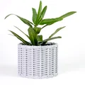 Bộ sưu tập chậu cây đan mây (Woven Planter Pots) in 3D đẹp mắt - Thumbnail 3