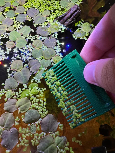 Lược/Cào Vớt Cây Nổi Hồ Cá (Aquarium Floating Plants Comb / Rake) - Image 2