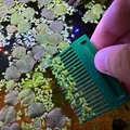 Lược/Cào Vớt Cây Nổi Hồ Cá (Aquarium Floating Plants Comb / Rake) - Thumbnail 2