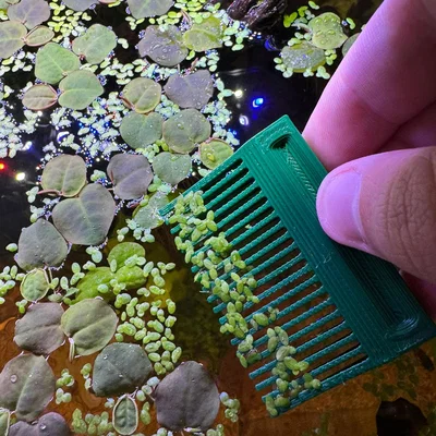 Lược/Cào Vớt Cây Nổi Hồ Cá (Aquarium Floating Plants Comb / Rake)