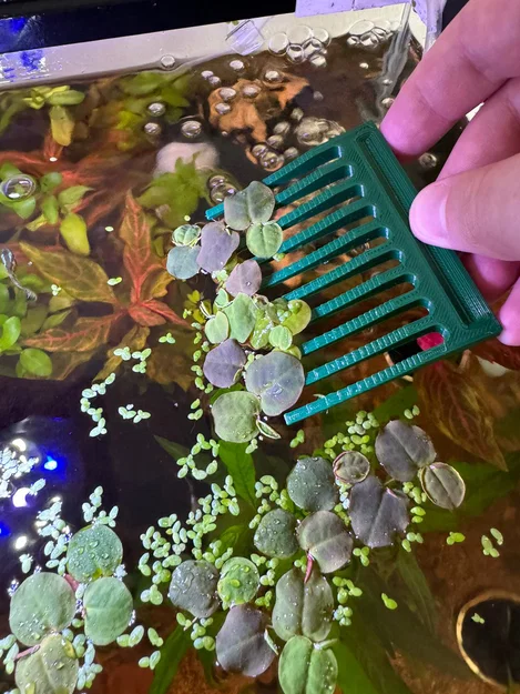 Lược/Cào Vớt Cây Nổi Hồ Cá (Aquarium Floating Plants Comb / Rake) - Image 3