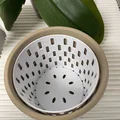 Insert trồng lan cho chậu hoa (Orchid insert for flower pot) - Thumbnail 2