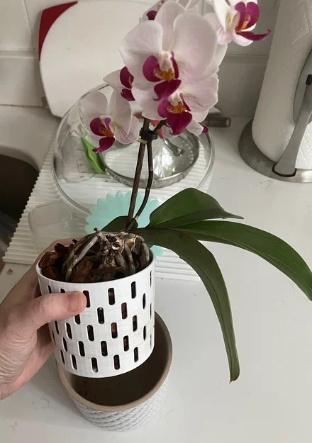 Insert trồng lan cho chậu hoa (Orchid insert for flower pot) - Image 3