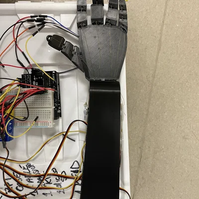 Bàn Tay Robot (Robotic Hand)