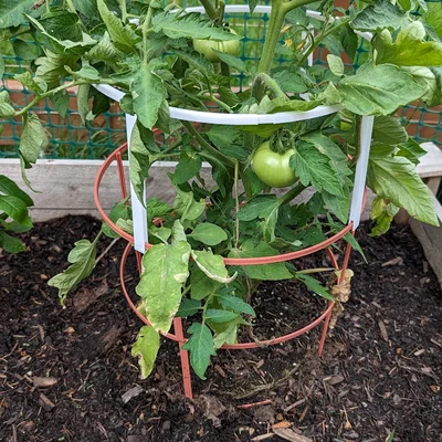 Khung Đỡ Cà Chua Modular (Modular Tomato Cage)